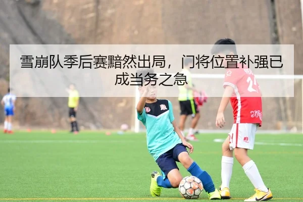 雪崩队季后赛黯然出局，门将位置补强已成当务之急